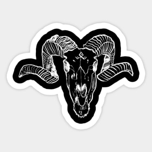 Ram skull Sticker